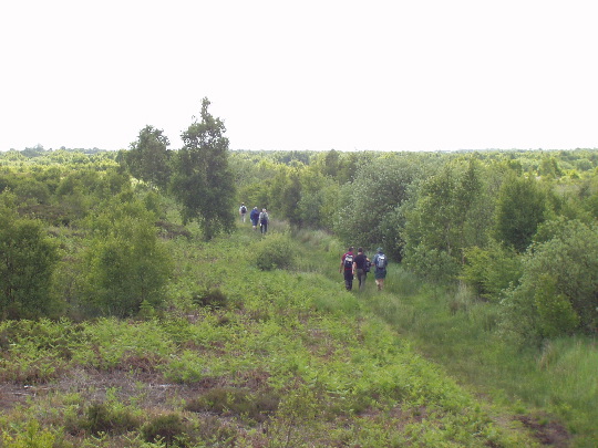 Thorne Moors: Thorne Moors